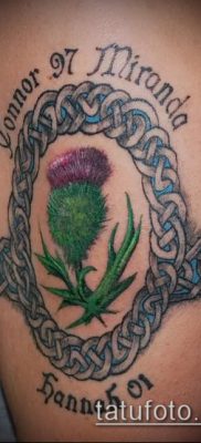 fénykép a bogáncs tetoválásról (jelentése) - egy példa egy érdekes tetoválási tervre - 021