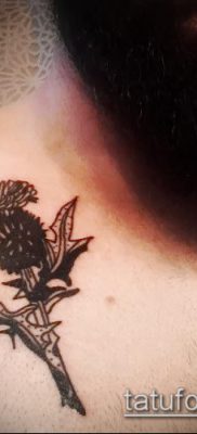 fénykép a bogáncs tetoválásról (jelentése) - egy példa egy érdekes tetoválási tervre - 019