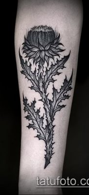 fotó a bogáncs tetoválásról (jelentése) - egy példa egy érdekes tetoválási tervre - 018