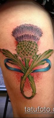 fénykép a bogáncs tetoválásról (jelentése) - egy példa egy érdekes tetoválási tervre - 016