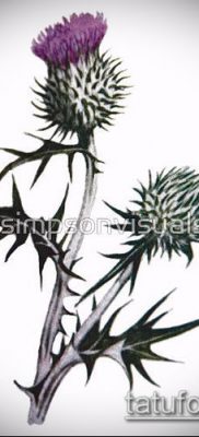 fénykép a bogáncs tetoválásról (jelentése) - egy példa egy érdekes tetoválási tervre - 015