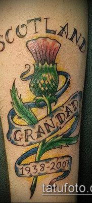 fénykép a bogáncs tetoválásról (jelentése) - egy példa egy érdekes tetoválási tervre - 014