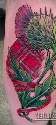 fotó egy bogáncs tetoválásról (jelentése) - egy példa egy érdekes tetoválási tervre - 013