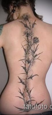 fotó a bogáncs tetoválásról (jelentése) - egy példa egy érdekes tetoválási tervre - 003