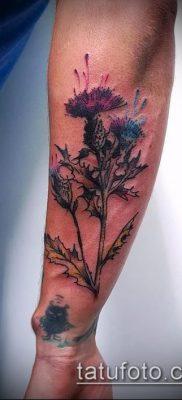 fotó a bogáncs tetoválásról (jelentése) - egy példa egy érdekes tetoválási tervre - 002