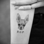 مثال وشم تشيهواهوا 12/16/2020 # 233 -Chihuahua Tattoo-