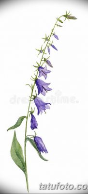 Fotó rajz tetováló virág harang 2018. 08. 10. №032 - virág harang tetoválás -