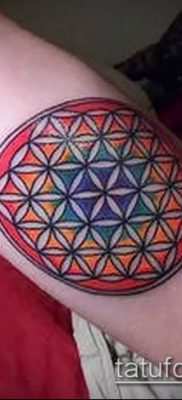 fotó az élet virágáról (jelentése) - példa rajz - 057