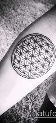 032. fotó tetoválóvirágról li (jelentése)