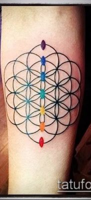 fotó az élet virágáról (Tattoo Flower of Li) (jelentése) - példa rajz - 030