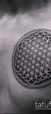 017. fotó tetoválóvirágról li (jelentése)