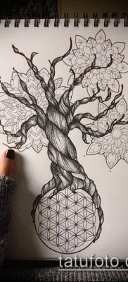 013. fotó tetoválás virág li (jelentése)