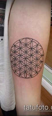 010. Tattoo Flower of Li fotó (jelentése)