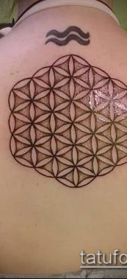 Tattoo Flower of Li fotó (jelentése) - példa rajz - 004