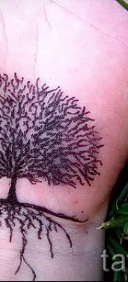 Fotó egy fa tetoválásról - rajz tetováláshoz 09122015 # 163