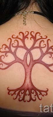 Fotó a fa tetoválásról - rajz a tetováláshoz 09122015 № 155