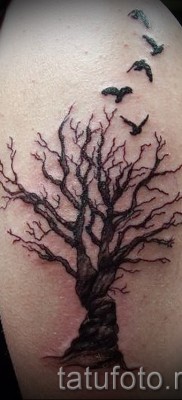 Fotó a fa tetoválásról - rajz a tetováláshoz 09122015 № 138