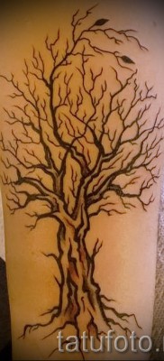Fotó a fa tetoválásról - rajz a tetováláshoz 09122015 № 123