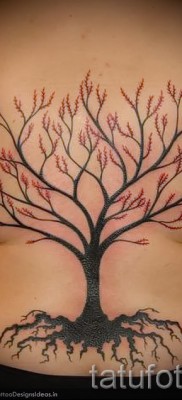 Fotó a fa tetoválásról - rajz a tetováláshoz 09122015 № 119
