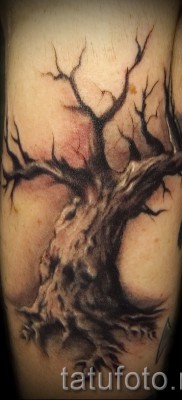 Fotó a fa tetoválásról - rajz a tetováláshoz 09122015 № 103