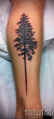 Fotó a fa tetoválásról - rajz a tetováláshoz 09122015 № 100