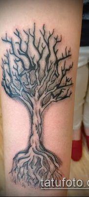 وشم شجرة مع جذور (معنى) - مثال على تصميم وشم مثير للاهتمام - 040