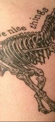 снимка на татуировка на динозавър от 18.08.2017 г. №134 - Татуировка на динозавър_