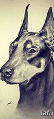 صورة وشم دوبيرمان بتاريخ 18/08/2017 №001 - وشم دوبيرمان