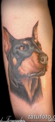 صورة وشم دوبيرمان بتاريخ 18/08/2017 №002 - وشم دوبيرمان