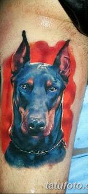 صورة وشم دوبيرمان بتاريخ 18/08/2017 №003 - وشم دوبيرمان