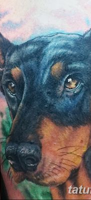 صورة وشم دوبيرمان بتاريخ 18/08/2017 №004 - وشم دوبيرمان