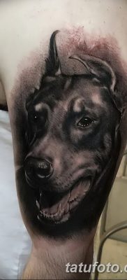 صورة وشم دوبيرمان بتاريخ 18/08/2017 №005 - وشم دوبيرمان