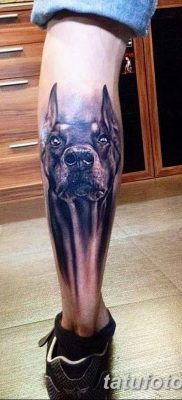 صورة وشم دوبيرمان بتاريخ 18/08/2017 №006 - وشم دوبيرمان