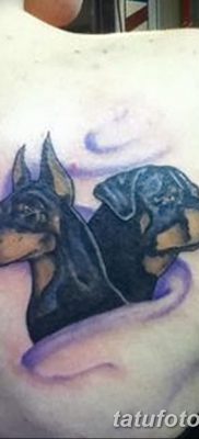 صورة وشم دوبيرمان بتاريخ 18/08/2017 №008 - وشم دوبيرمان