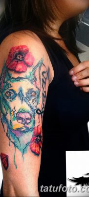 صورة وشم دوبيرمان بتاريخ 18/08/2017 №010 - وشم دوبيرمان