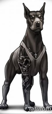 صورة وشم دوبيرمان بتاريخ 18/08/2017 №013 - وشم دوبيرمان