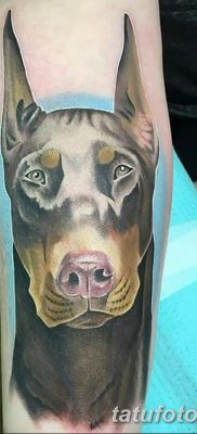 صورة وشم دوبيرمان بتاريخ 18/08/2017 №014 - وشم دوبيرمان