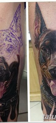 صورة وشم دوبيرمان بتاريخ 18/08/2017 №015 - وشم دوبيرمان