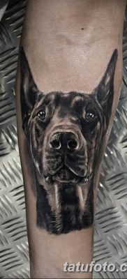 صورة وشم دوبيرمان بتاريخ 18/08/2017 №016 - وشم دوبيرمان