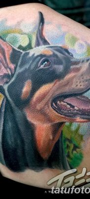 صورة وشم دوبيرمان بتاريخ 18/08/2017 №018 - وشم دوبيرمان