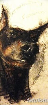 صورة وشم دوبيرمان بتاريخ 18/08/2017 №019 - وشم دوبيرمان