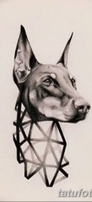 صورة وشم دوبيرمان بتاريخ 18/08/2017 №023 - وشم دوبيرمان