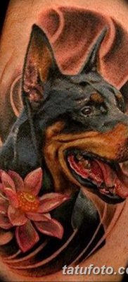 صورة وشم دوبيرمان بتاريخ 18/08/2017 №025 - وشم دوبيرمان