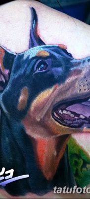 صورة وشم دوبيرمان بتاريخ 18/08/2017 №027 - وشم دوبيرمان