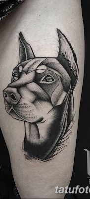 صورة وشم دوبيرمان بتاريخ 18/08/2017 №028 - وشم دوبيرمان