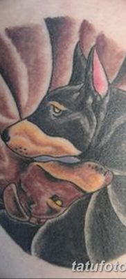 صورة وشم دوبيرمان بتاريخ 18/08/2017 №031 - وشم دوبيرمان