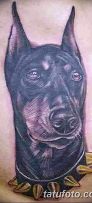 صورة وشم دوبيرمان بتاريخ 18/08/2017 №032 - وشم دوبيرمان