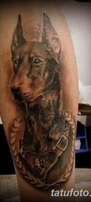 صورة وشم دوبيرمان بتاريخ 18/08/2017 №033 - وشم دوبيرمان