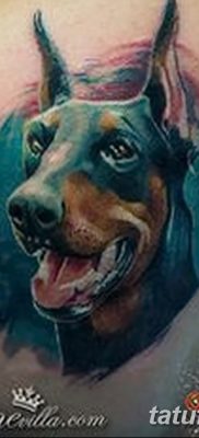 صورة وشم دوبيرمان بتاريخ 18/08/2017 №035 - وشم دوبيرمان