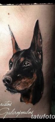 صورة وشم دوبيرمان بتاريخ 18/08/2017 №038 - وشم دوبيرمان